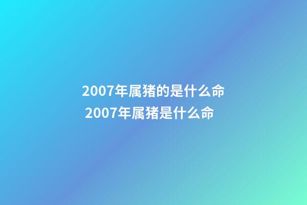 2007年属猪的是什么命 2007年属猪是什么命-第1张-观点-玄机派